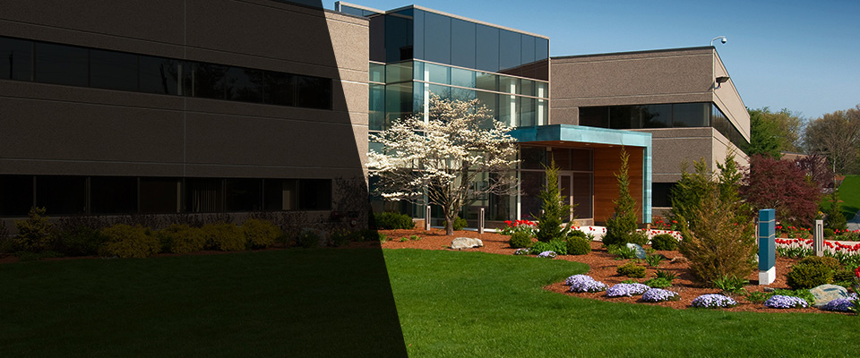 Pinellas Park Landscapers