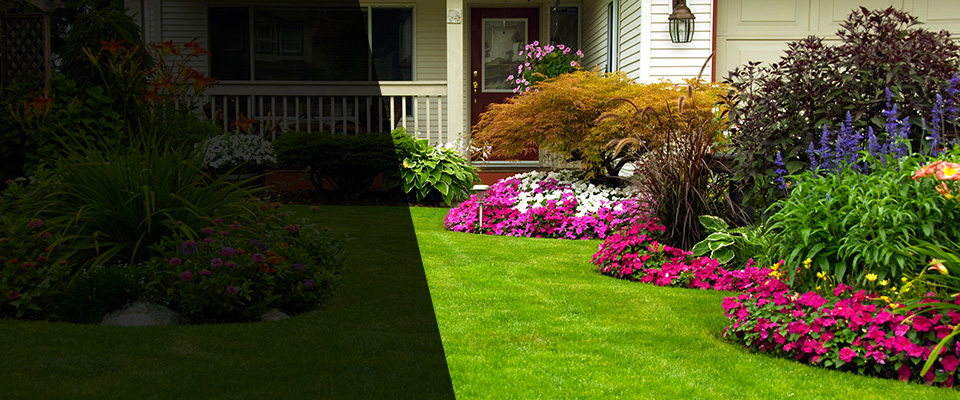 Pinellas Park Landscapers