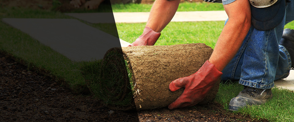 Pinellas Park Landscapers